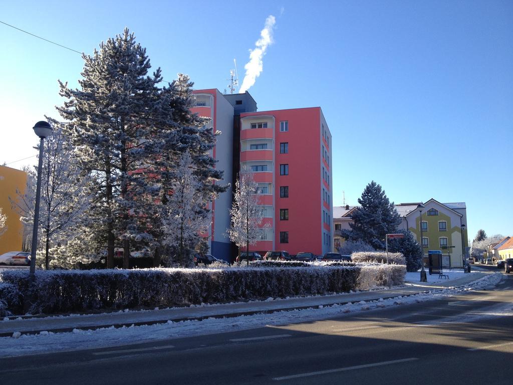 Apartman Sportovni Apartment Třeboň Exterior foto